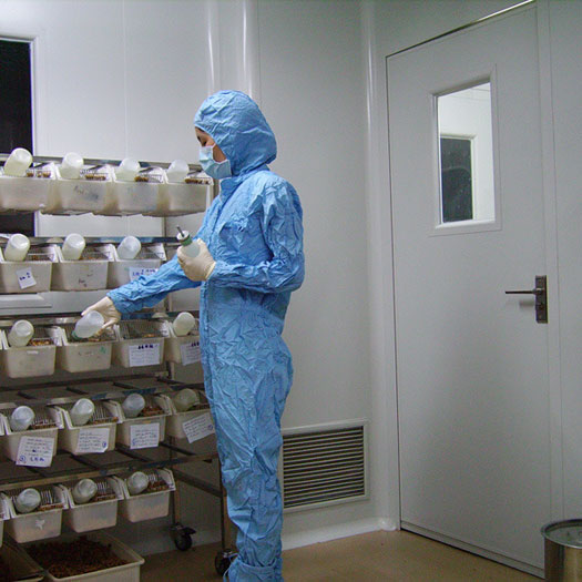 動(dòng)物房實(shí)驗(yàn)室凈化